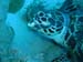 turtle2.jpg